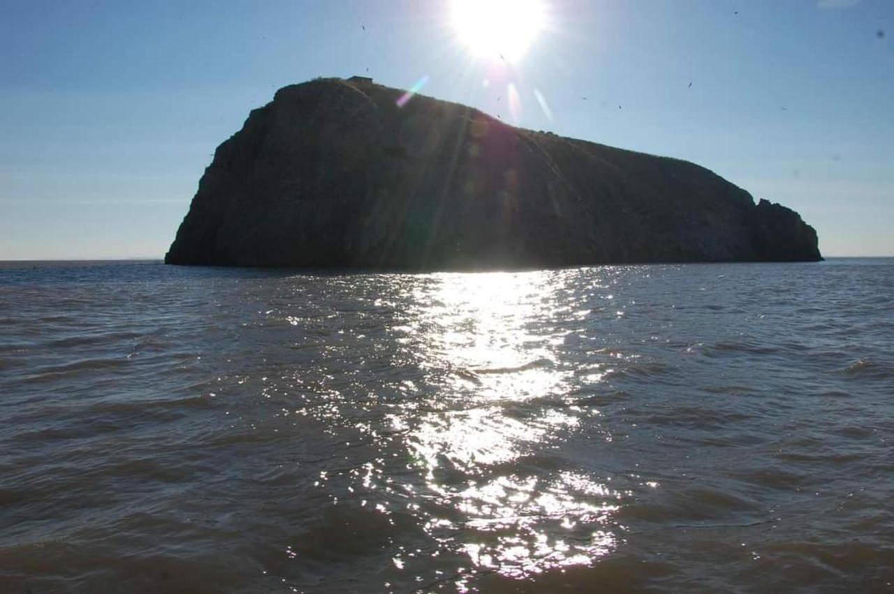 95 Holiday Resort Unity 3 Bed Passes Included Brean Ngoại thất bức ảnh